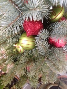 20131212-004012.jpg