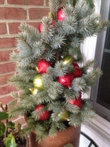 20131212-004151.jpg