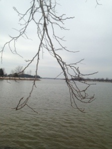 20140303-002110.jpg