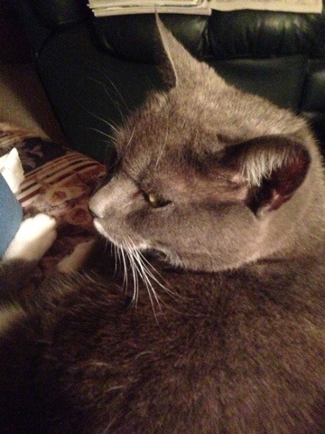 20140404-005926.jpg
